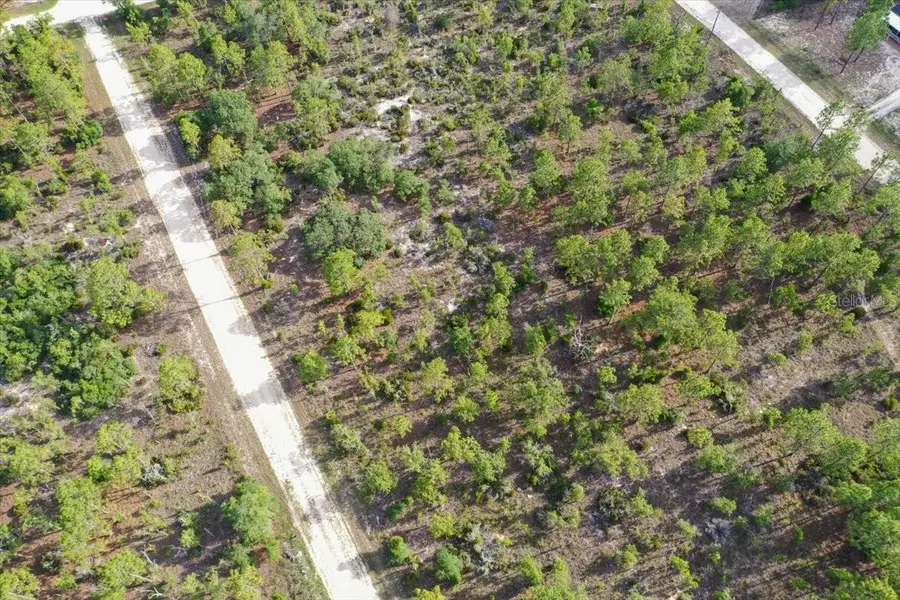 0000 NE 132 Terrace Lot 4 Terrace, Williston, FL 32696 - #3