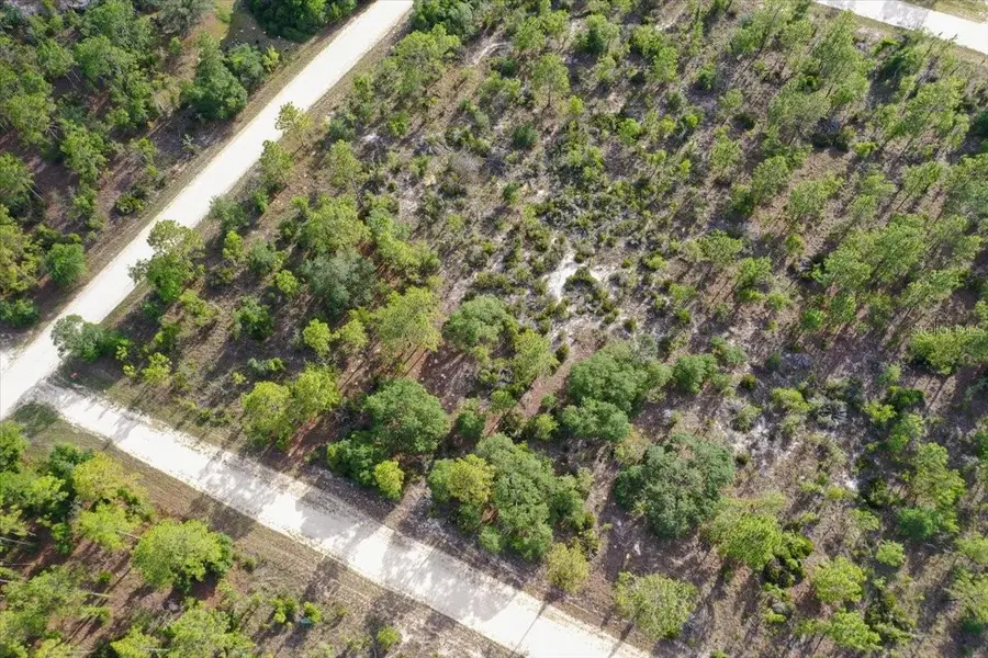 0000 NE 132 Terrace Lot 5 Terrace, Williston, FL 32696 - #3