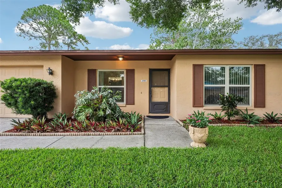 3718 Sand Pebble Drive, Valrico, FL 33596 - #2