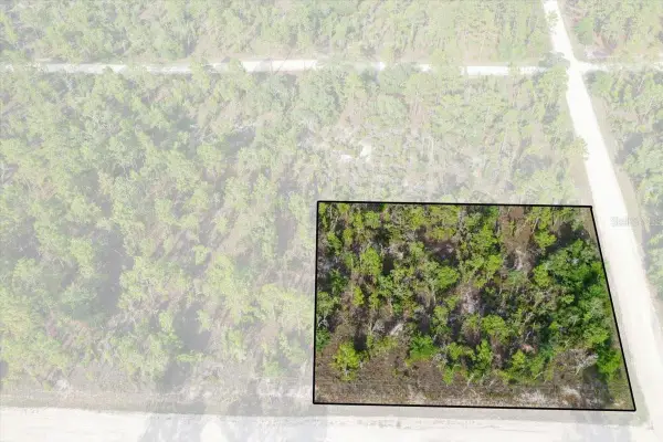 0000 NE 131 Terrace Lot 6 Terrace, WILLISTON, FL 32696