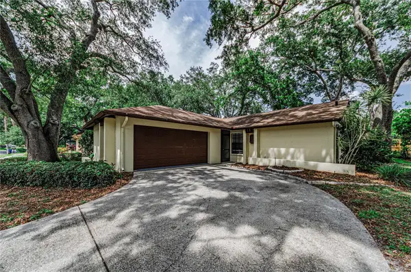 260 Arbor Glen Drive, PALM HARBOR, FL 34683