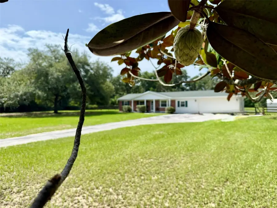 11215 Russell Drive, Seffner, FL 33584 - #3