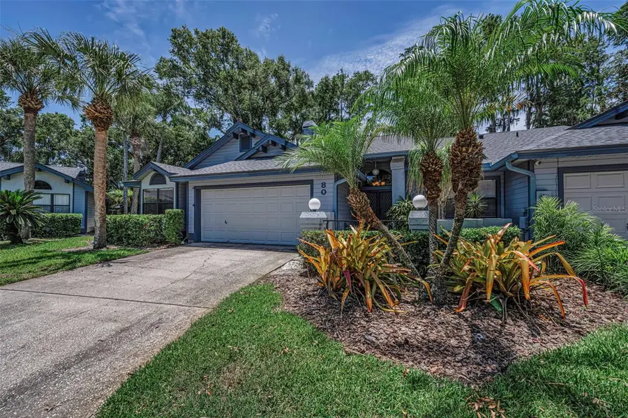 80 Summerwinds Lane, Oldsmar, FL 34677 - #3