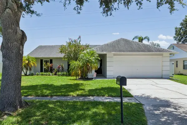 16117 Pebblebrook Drive, TAMPA, FL 33624