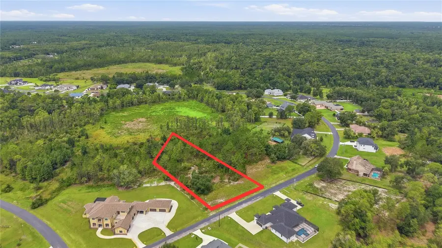 8616 Spring Forest Lane, Wesley Chapel, FL 33544 - #3