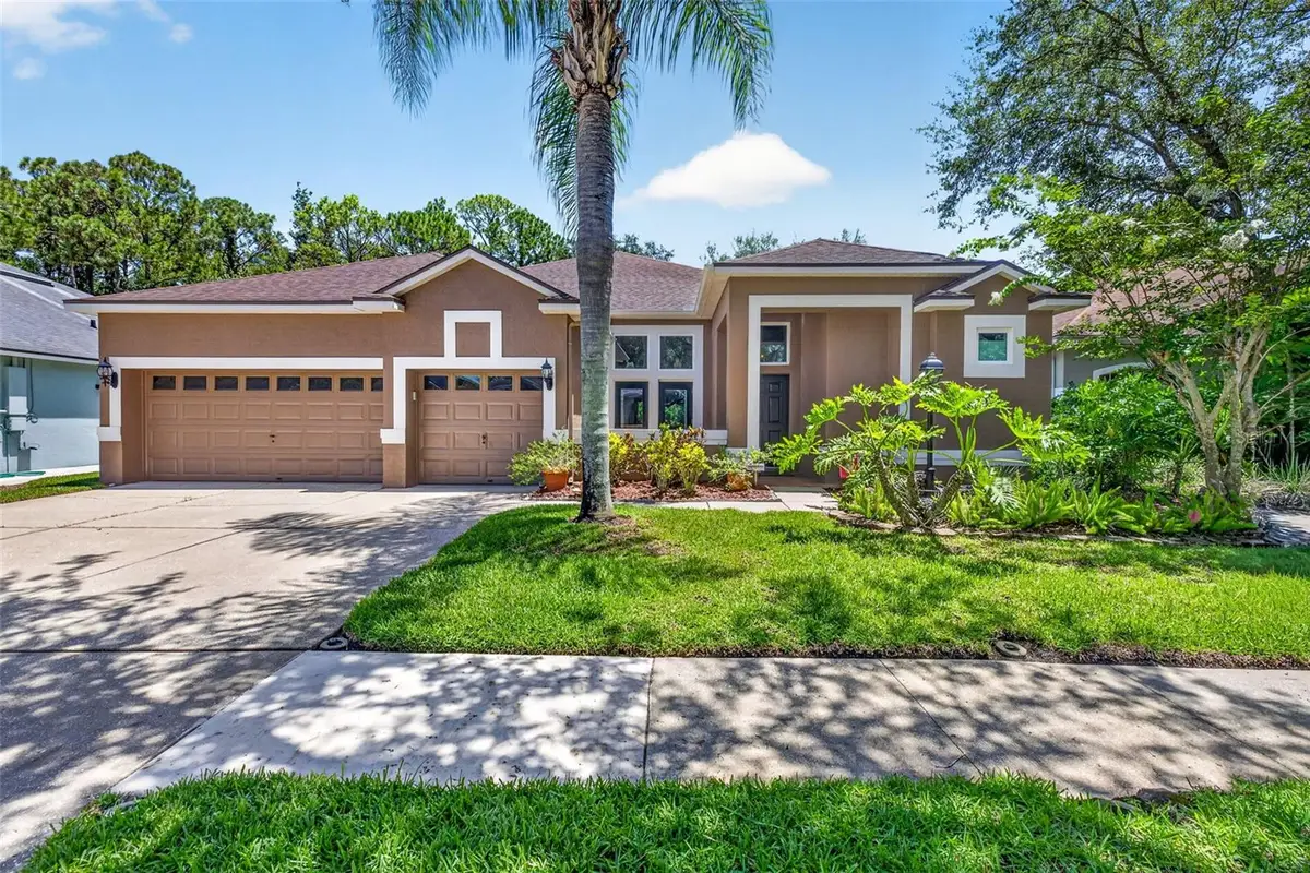 10737 Ayrshire Drive, Tampa, FL 33626 - #1