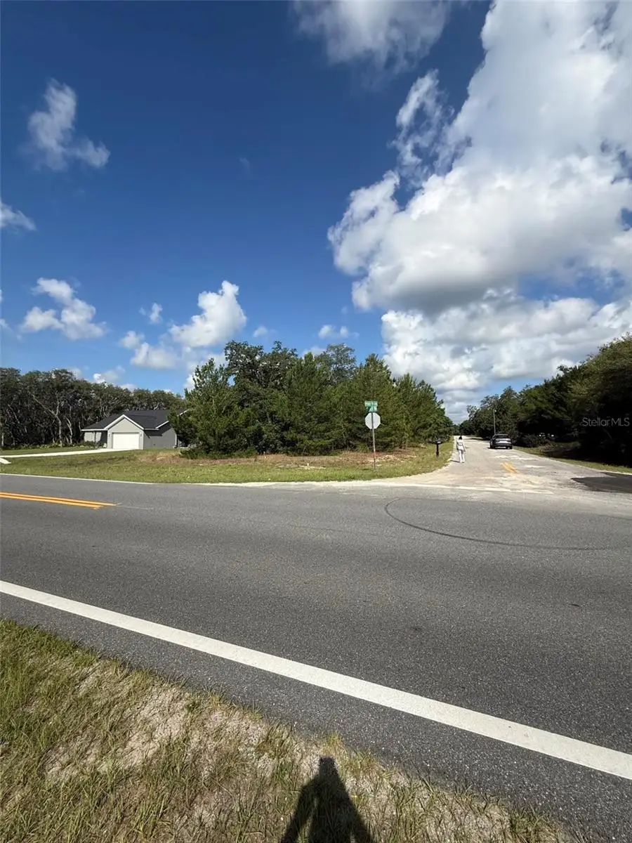 0 Fisher Ter Run, Ocklawaha, FL 32179 - #1