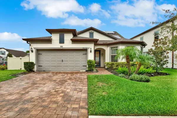 19234 Mossy Pine Drive, TAMPA, FL 33647