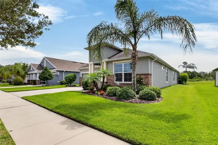 13328 Palmera Vista Drive, Riverview, FL 33579 - #3