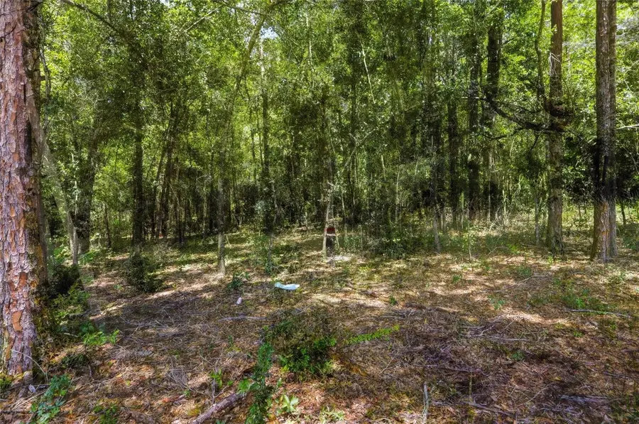 Centennial Road, Dade City, FL 33525 - #2
