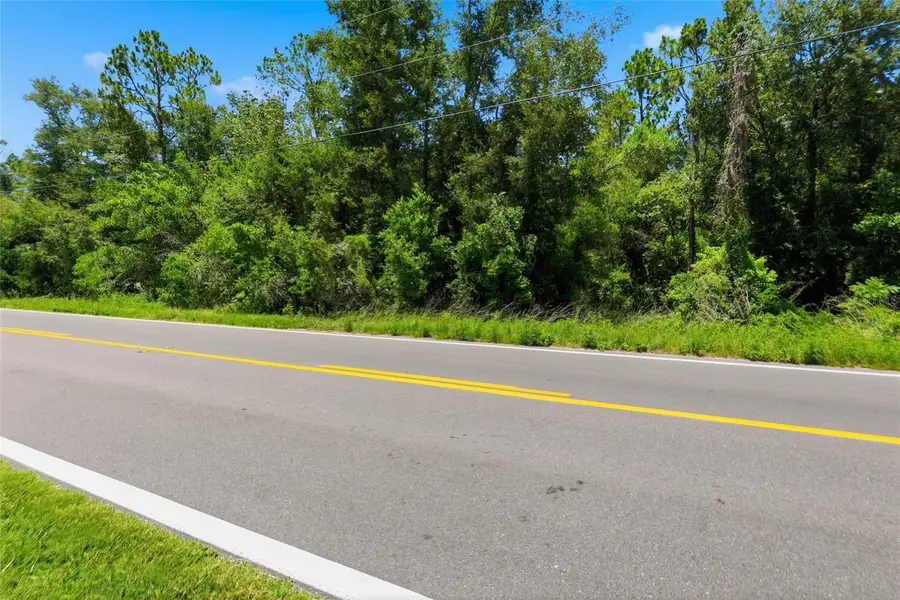 Centennial Road, Dade City, FL 33525 - #3