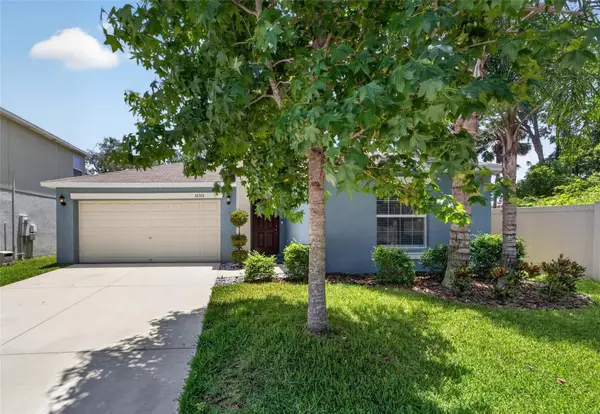 10304 Strawberry Tetra Drive, RIVERVIEW, FL 33578