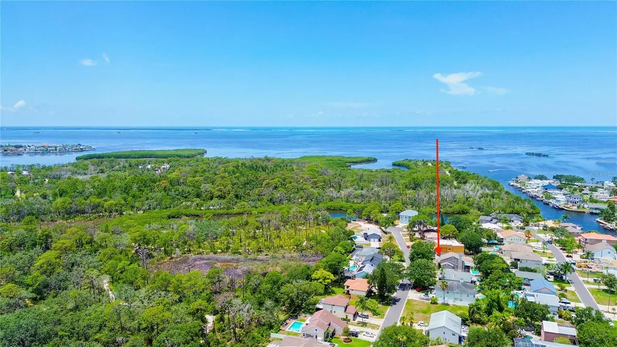 14 Baywood Drive, Palm Harbor, FL 34683 - #1