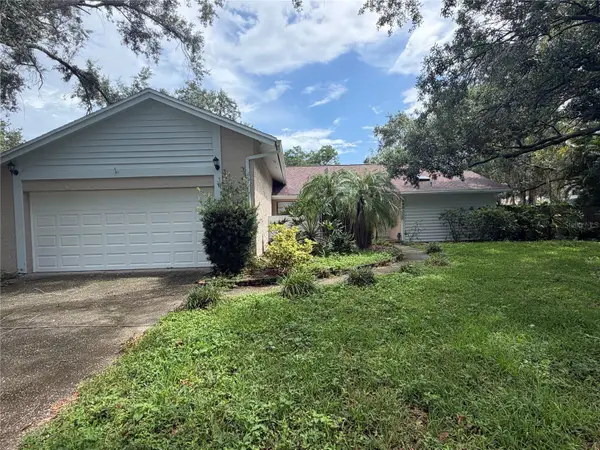 4601 Farmhouse Drive, TAMPA, FL 33624