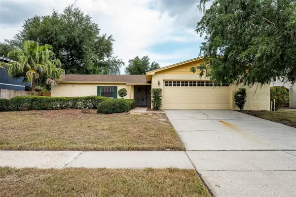 4702 Southbreeze Drive, TAMPA, FL 33624