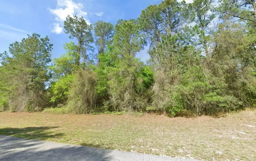 1495 E Citrus Springs Boulevard, Citrus Springs, FL 34434 - #3