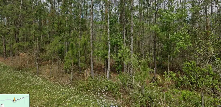 0 Green Pond Road, Polk City, FL 33868 - #2