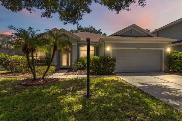 12526 Burgess Hill Drive, RIVERVIEW, FL 33579