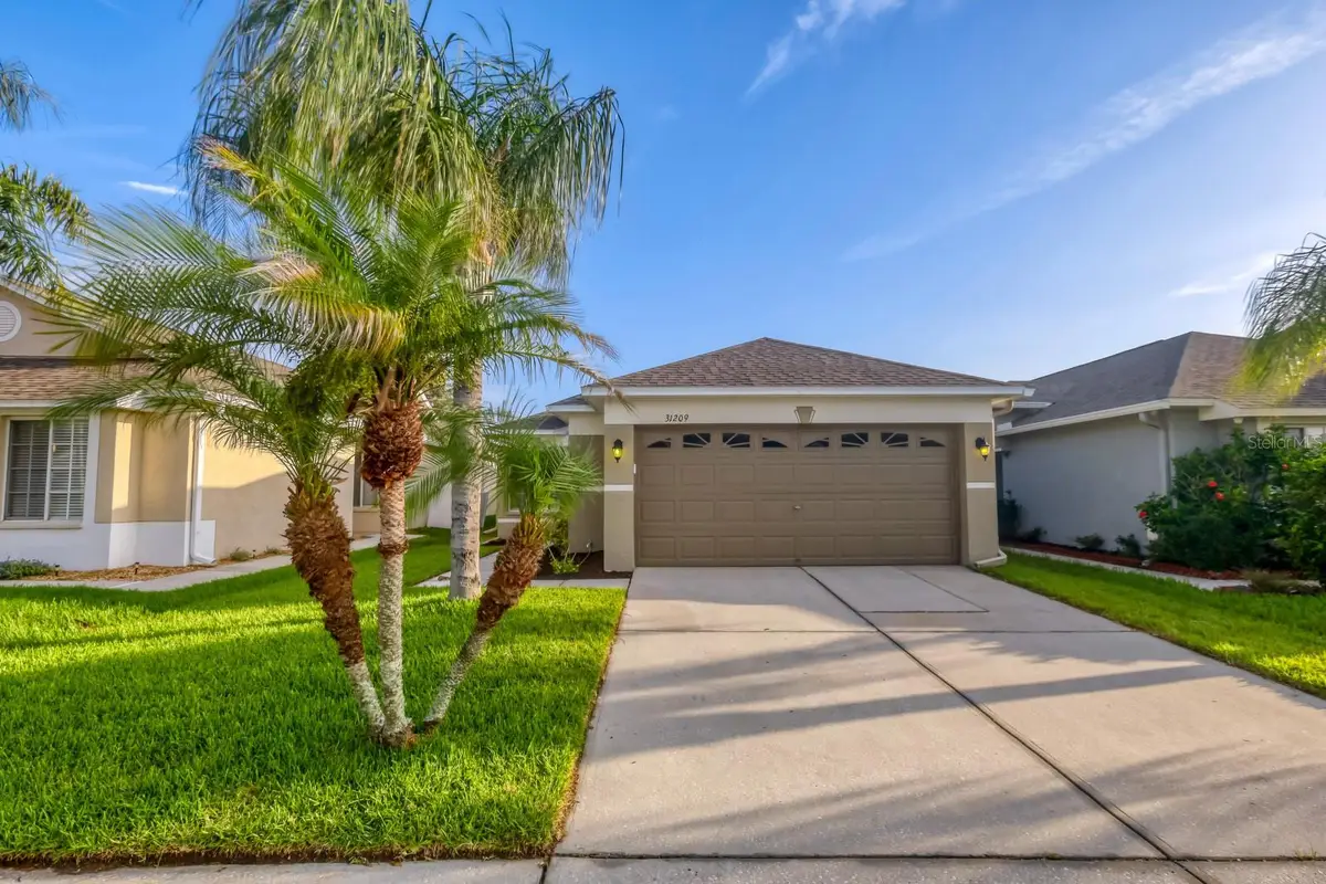 31209 Masena Drive, Wesley Chapel, FL 33545 - #1