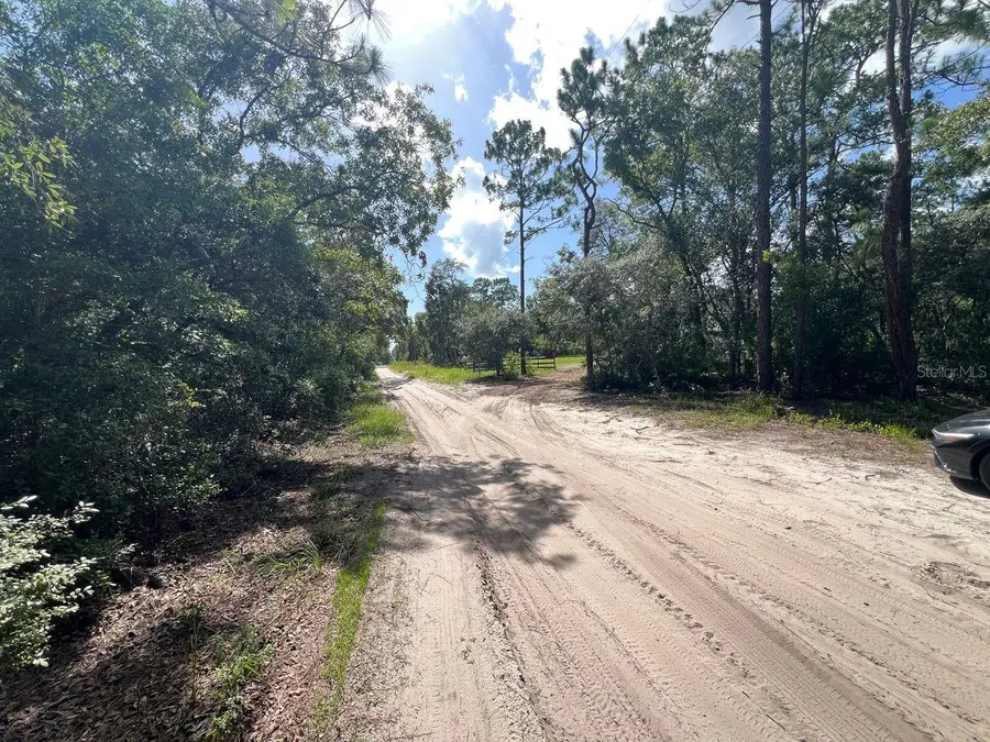 SW 157th Lane, Dunnellon, FL 34432 - #3