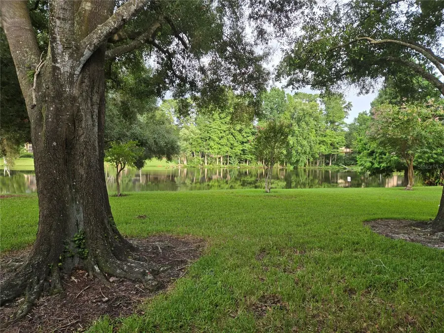 11805 Skylake Place #C, Tampa, FL 33617 - #2