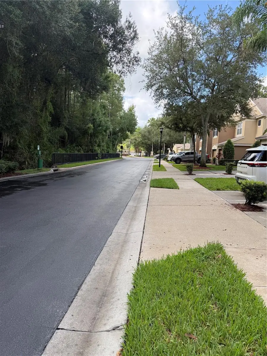 8428 Sandy Beach Street, Tampa, FL 33634 - #3