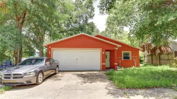 3419 E Diana Street, TAMPA, FL 33610