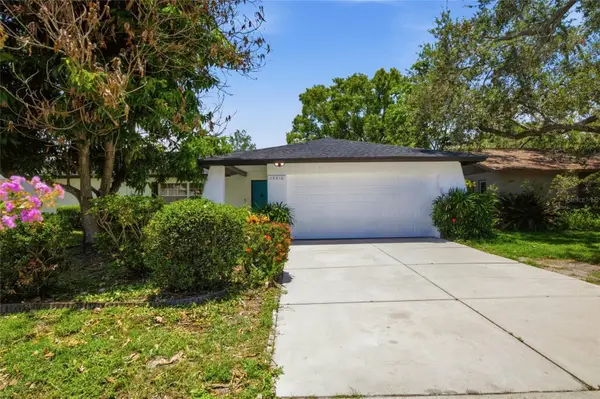 13510 Capitol Drive, TAMPA, FL 33613