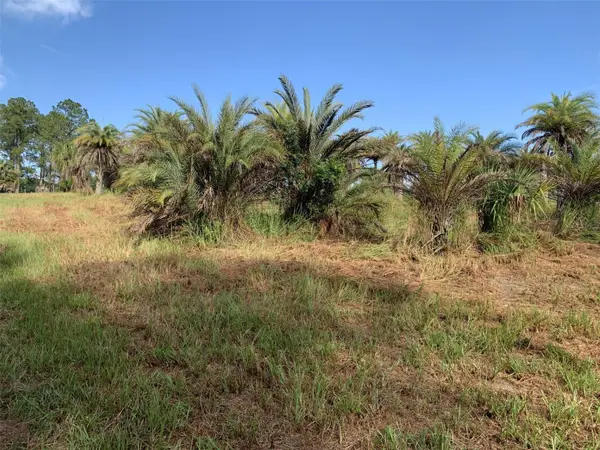 Dan Brown Hill Road #Lot 3, BROOKSVILLE, FL 34602