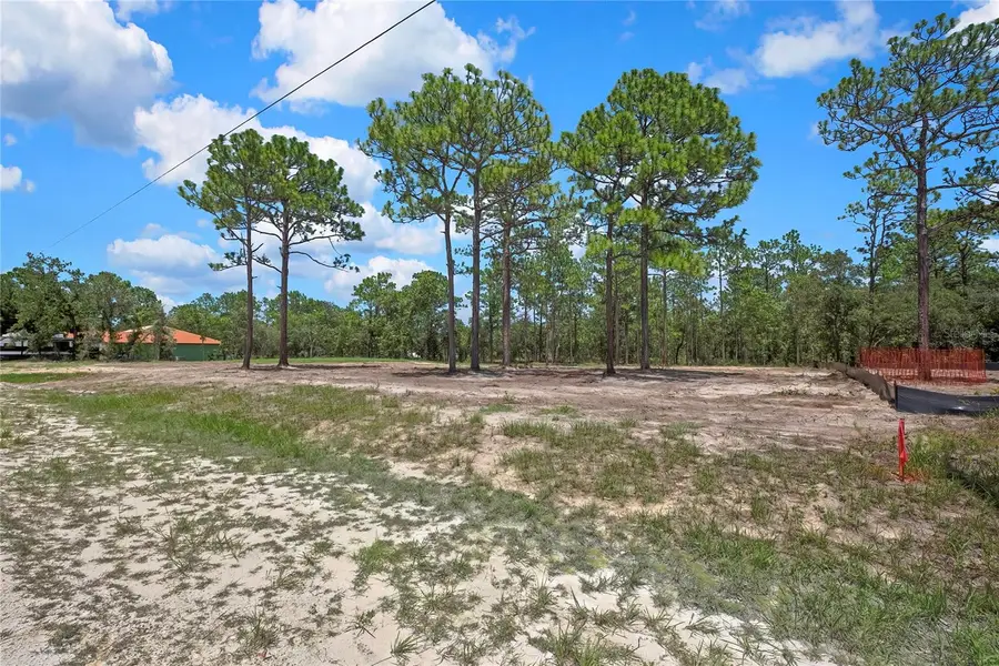 16116 Medrick Road, Brooksville, FL 34614 - #3