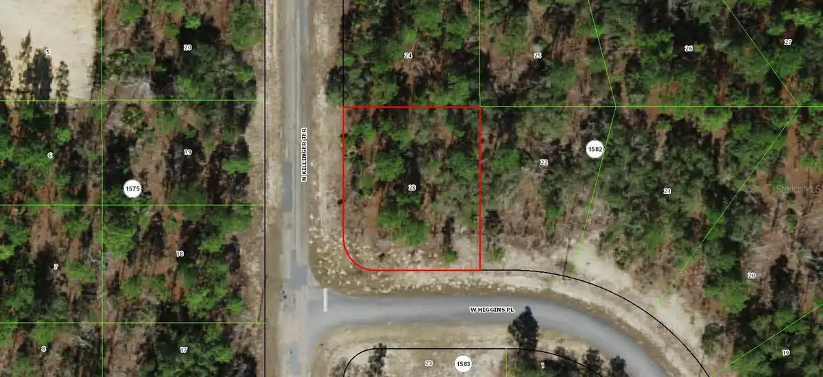 3299 W Higgins Place, Citrus Springs, FL 34433 - #1
