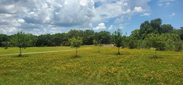 15908 W Lake Drive, WIMAUMA, FL 33598