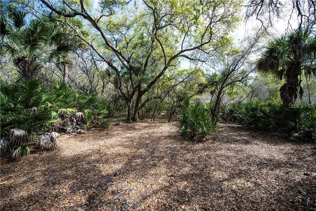 392 Manly Street, Port Charlotte, FL 33953 - #1