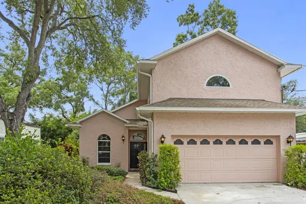 3617 W Tacon Street, TAMPA, FL 33629
