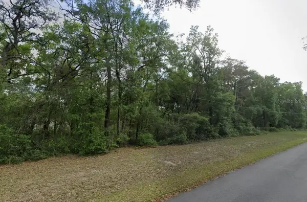 0 SE 59th Place, OCKLAWAHA, FL 32179