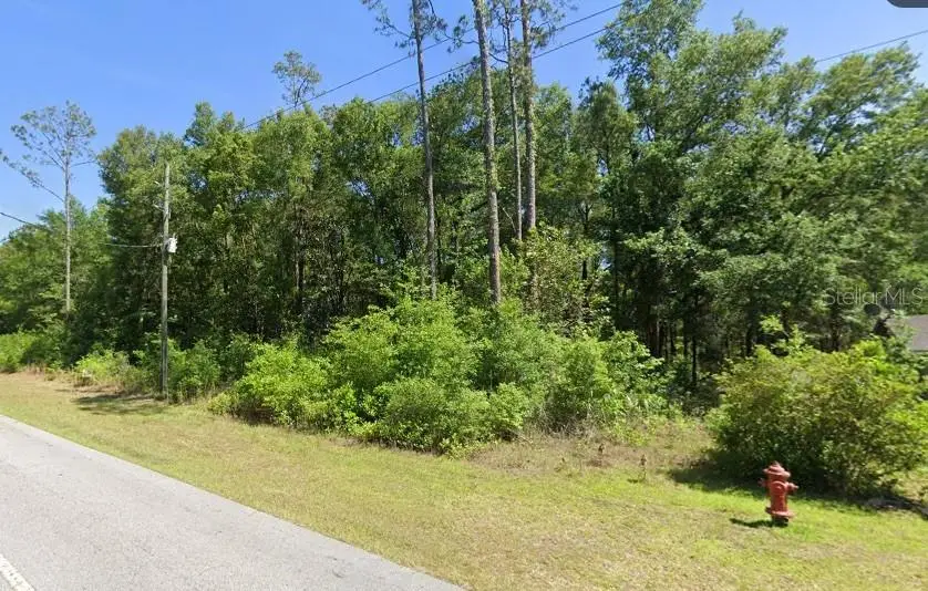 1801-023-036, Dunnellon, FL 34431 - #2