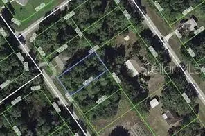 445 Pershing Avenue, LAKE PLACID, FL 33852