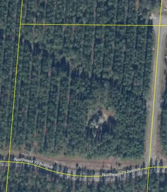Tbd, Melrose, FL 32666 - #1