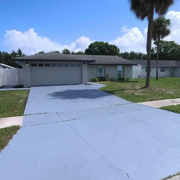7019 Fountain Avenue, TAMPA, FL 33634