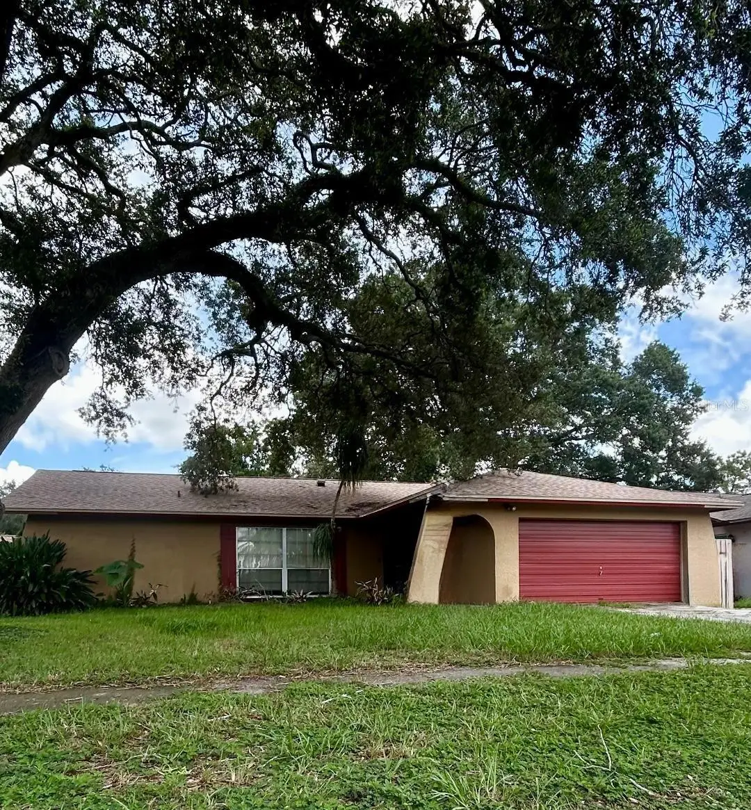 505 Proclamation Drive, Tampa, FL 33613 - #1
