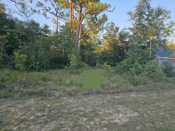 Lot 12 Shenandoah Boulevard, CHIPLEY, FL 32428