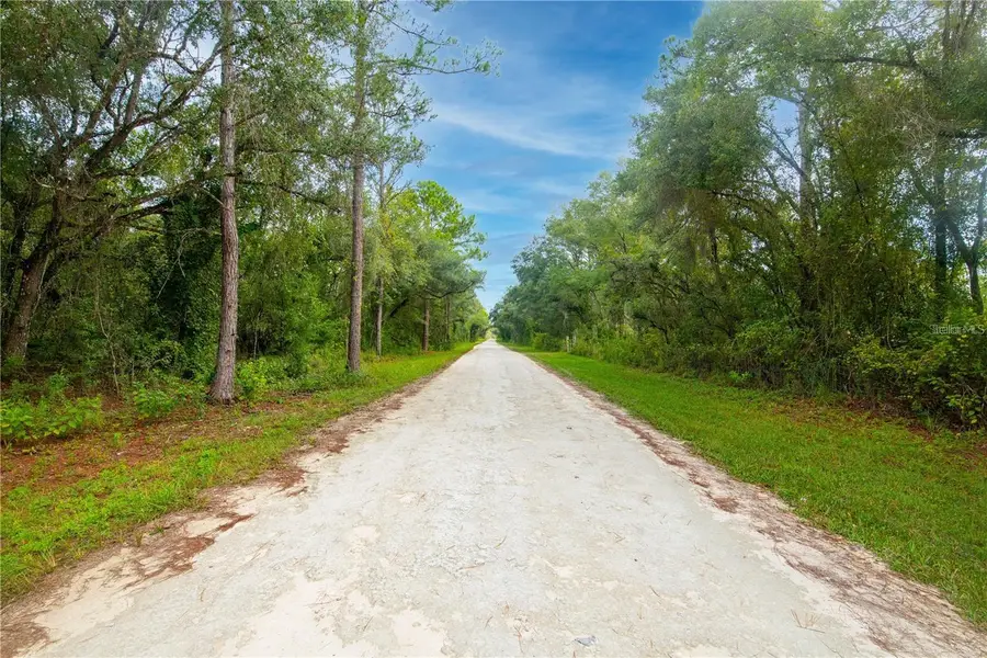 7431 Bitternut Avenue, Webster, FL 33597 - #2
