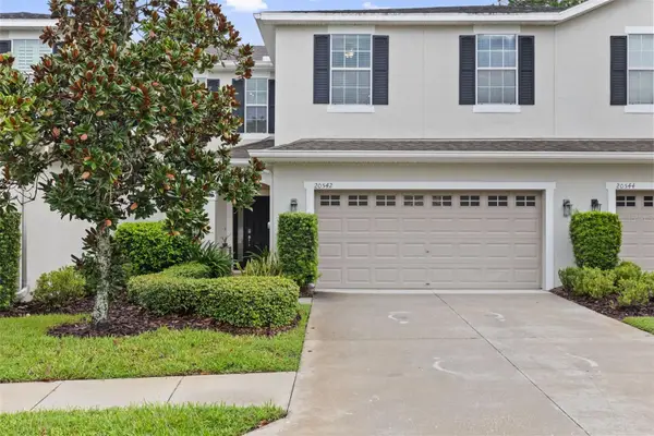 20542 Grand Vista Lane, TAMPA, FL 33647