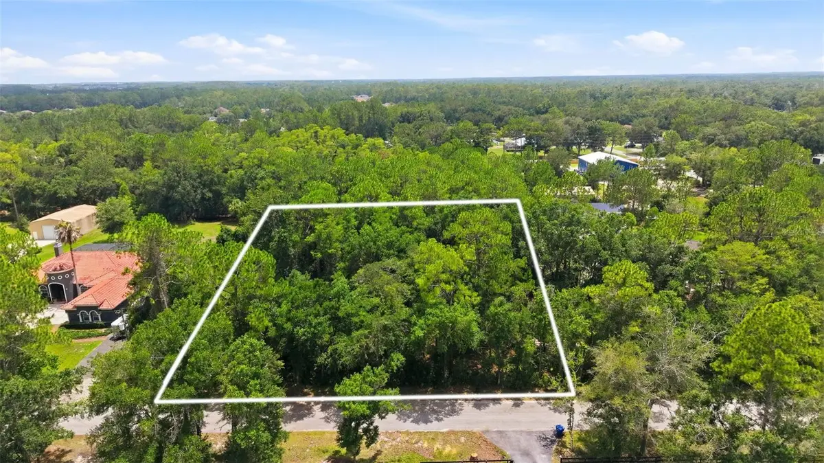 Raven Brook Road, Wesley Chapel, FL 33544 - #1