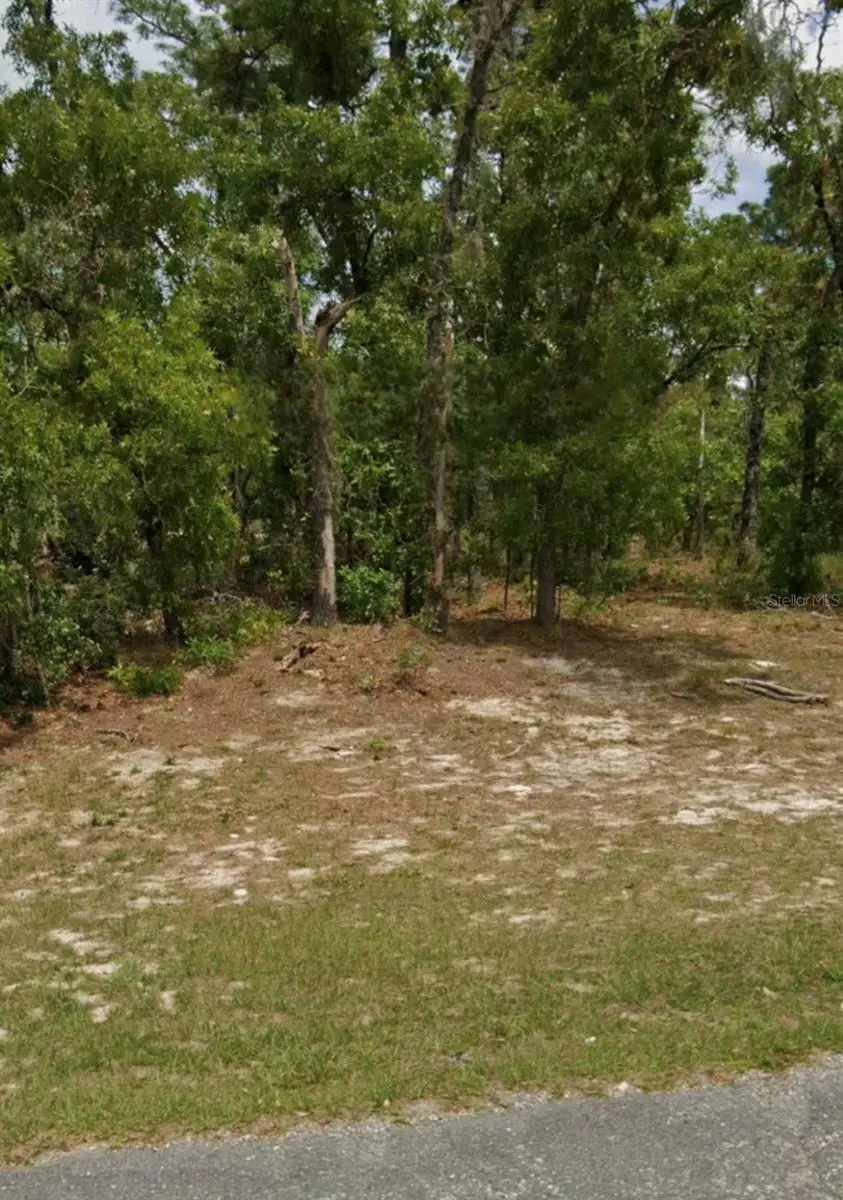 5689 N Summerfield Point, Citrus Springs, FL 34434 - #1