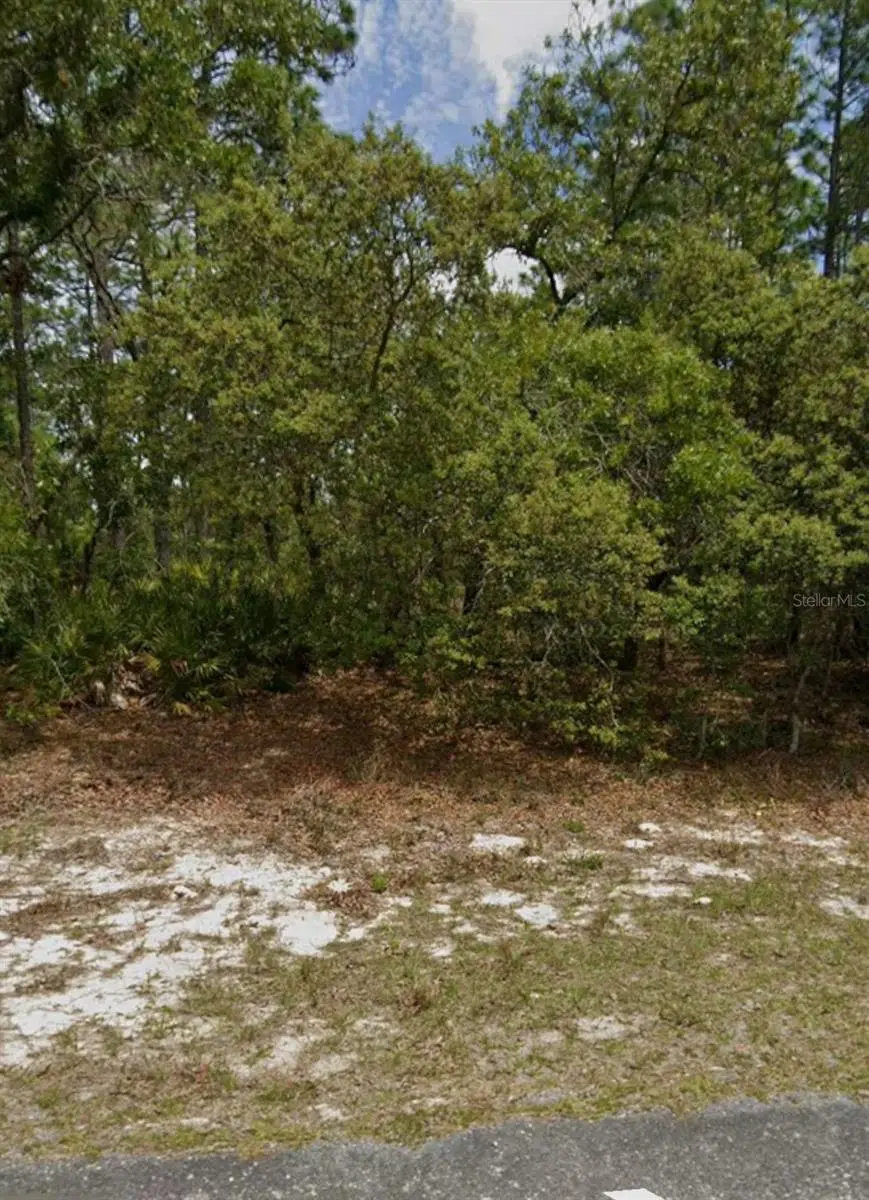 5732 N Summerfield Point, Citrus Springs, FL 34434 - #1