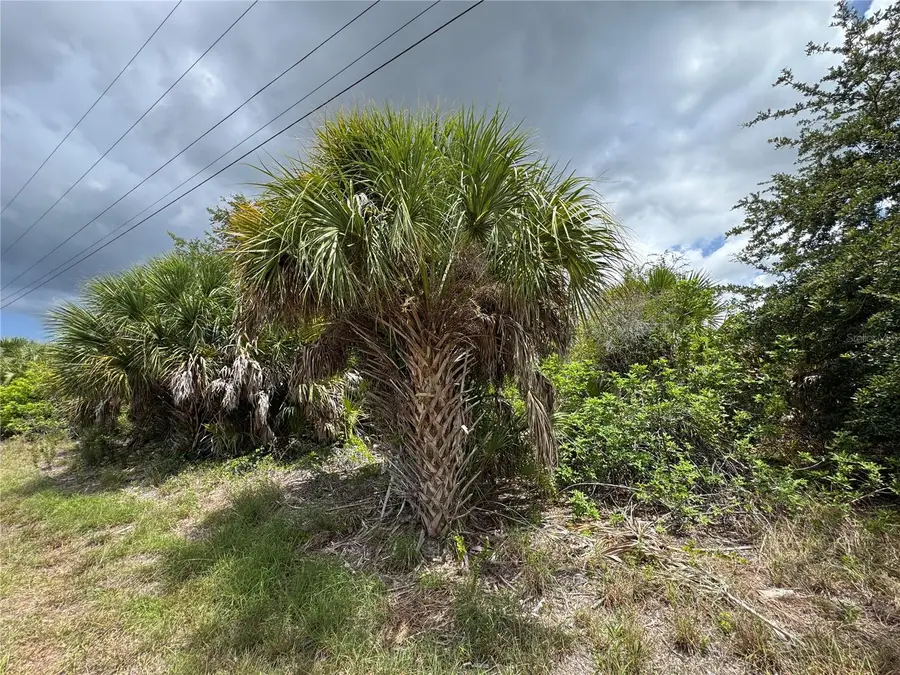 13224 Kitchener Avenue, Port Charlotte, FL 33981 - #3