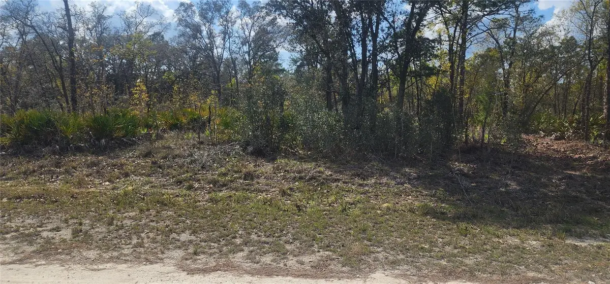 18043 Ramsey Road, Weeki Wachee, FL 34614 - #1