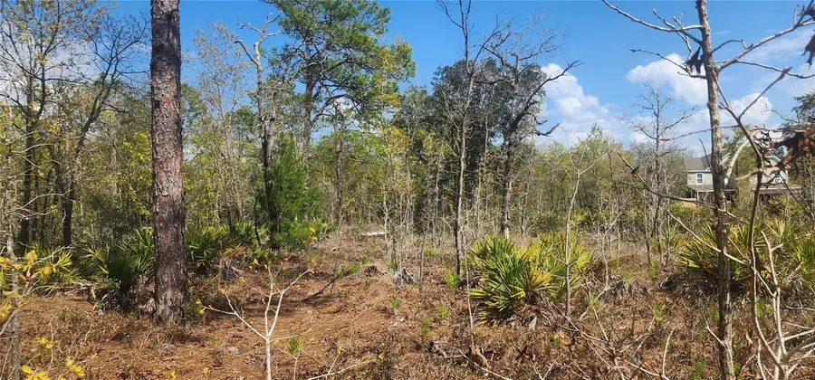 18043 Ramsey Road, Weeki Wachee, FL 34614 - #3