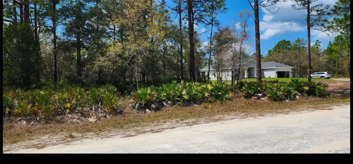 18099 Parakeet Road, Brooksville, FL 34614 - #1